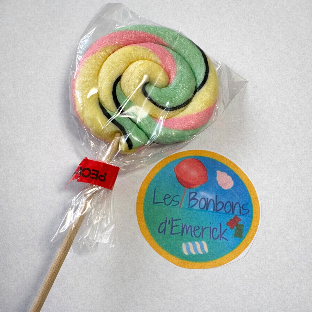 🍭 – Sucette Foraine Artisanale Ronde 45g