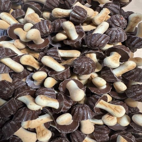 Champignons au chocolat au lait x 10